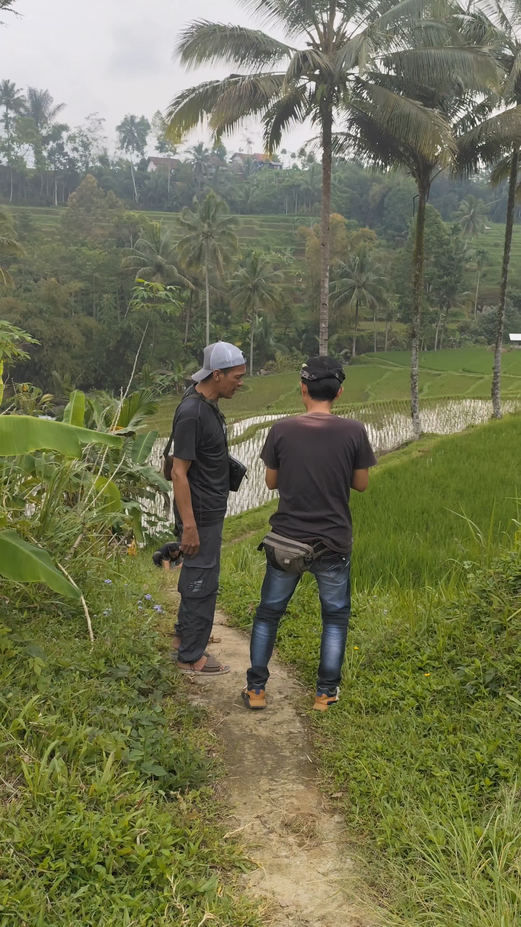 Malaweung  #RCTIPlus  #komedi 