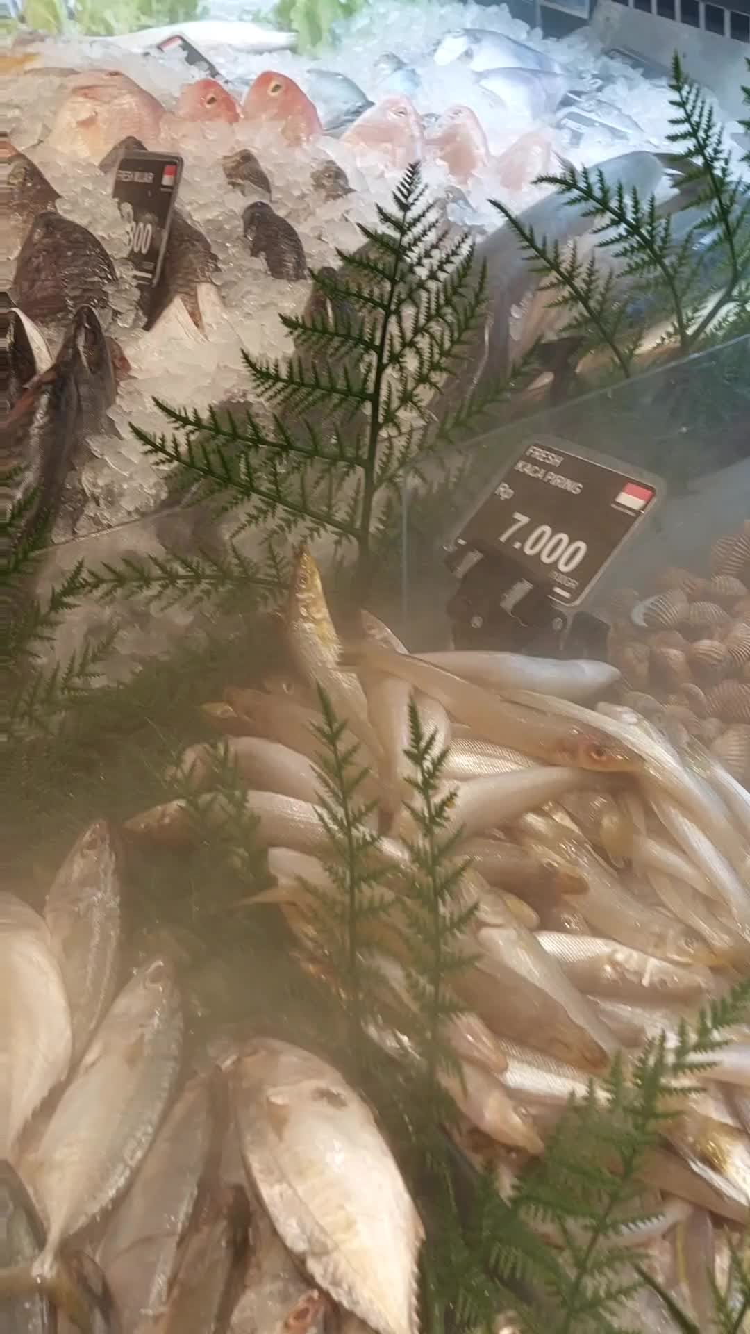 Seafood Display #aeonmall 