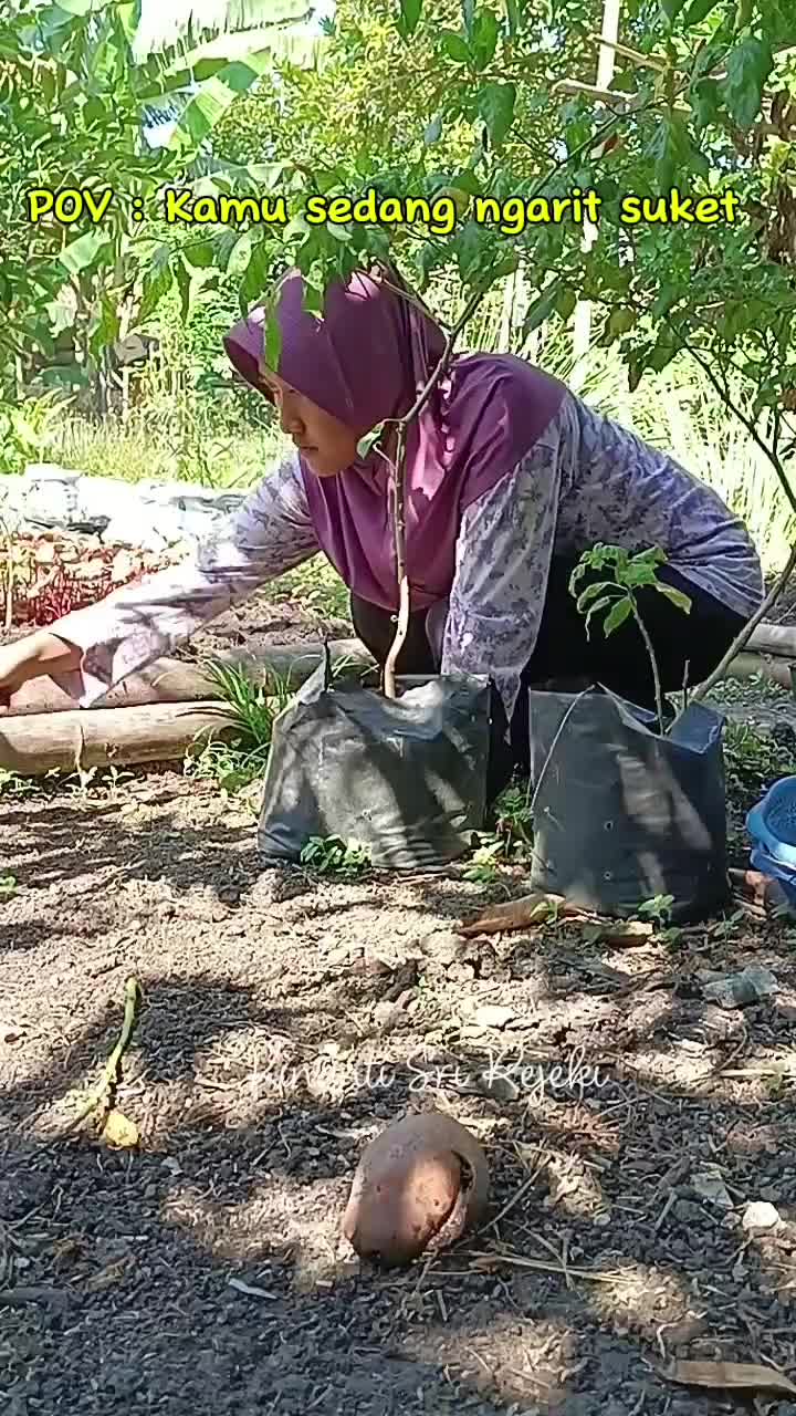 Membersihkan rumput yg mengganggu tanaman sayur di kebunku
#HOTrctiplus #RCTIPlus #shortplus #shorts #Berkebun #berkebundirumah #gardening 