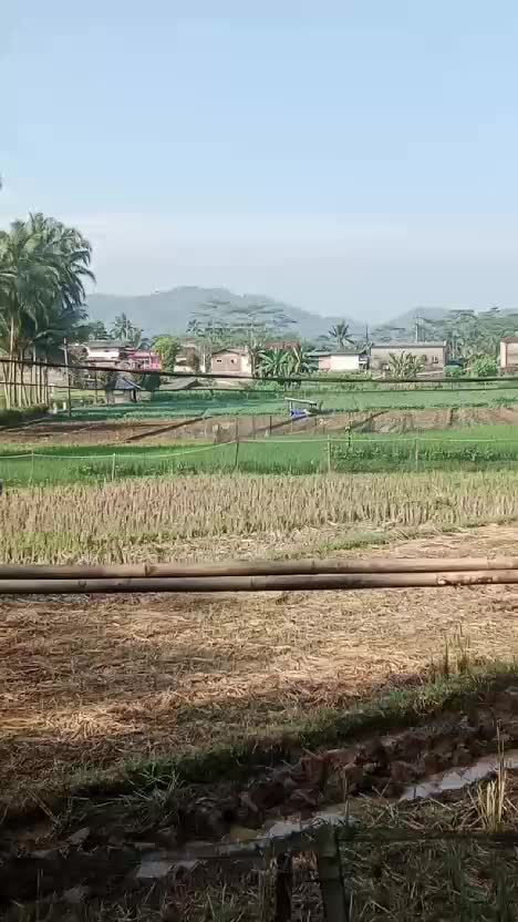 Suasana Desa