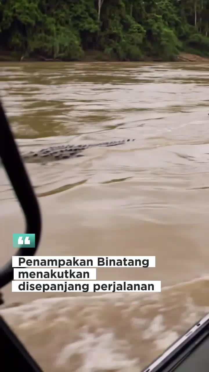 binatang serem 

#fyp 