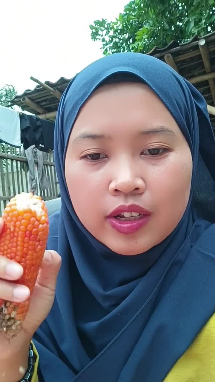 review jenis jagung
 #viral  #minivlog 