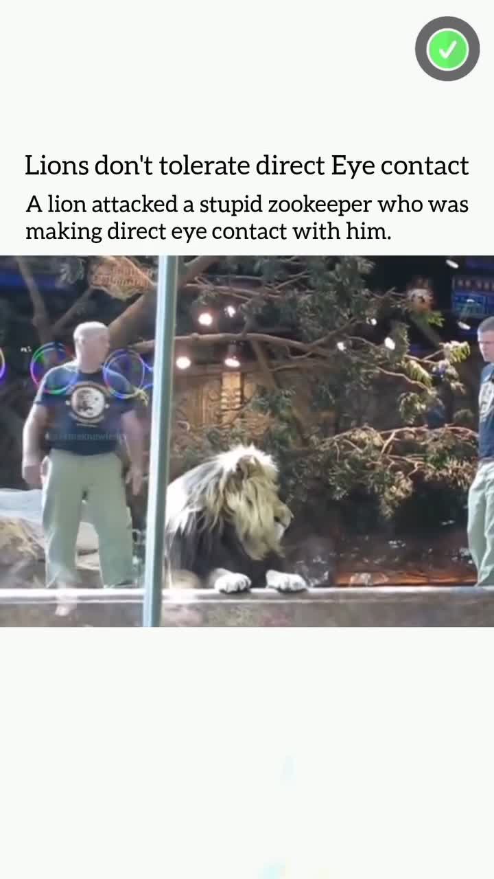 This Will Blow Your Mind! Part 184 🔥 #creativeprocess #innovation #trendingnow #inspiration