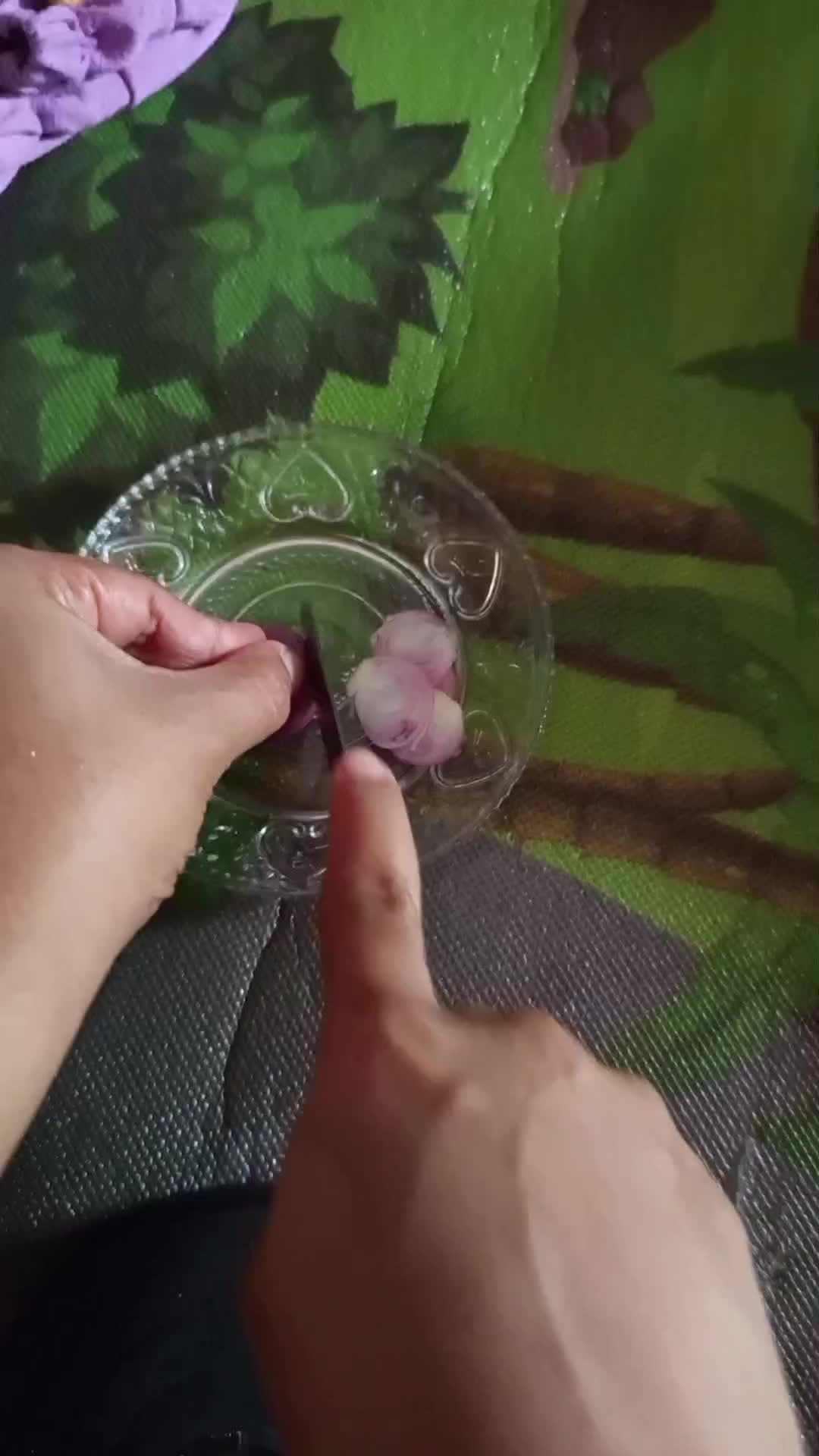 bawang merah obat tradisional untuk demam anak