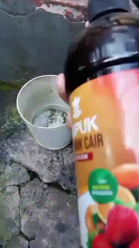 Panen Maksimal di lahan Minimal  #infarm  #panen  #berkebun 