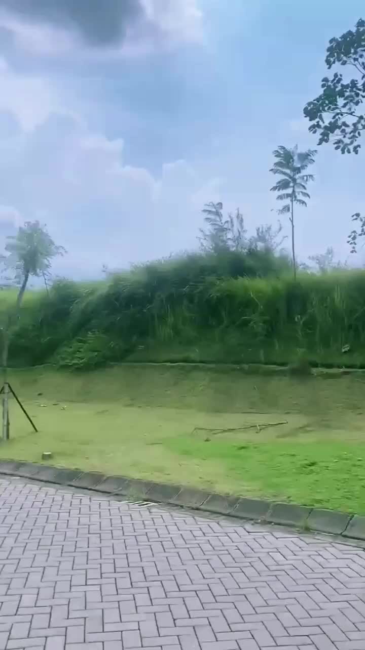  #fyypp  #fyyyppppp  #fypシ 