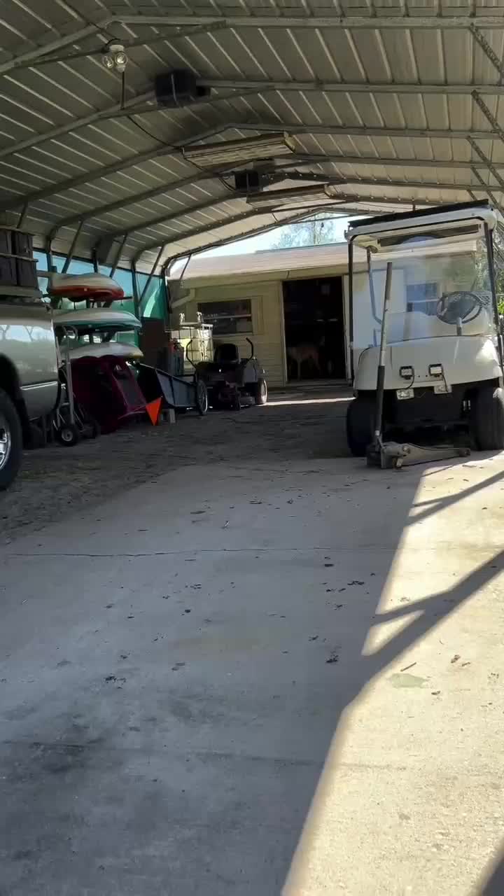 Luar biasa

 #videoviral
