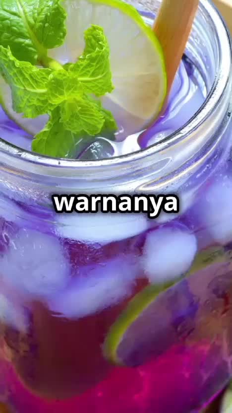 Manfaat bunga telang  #kebunshaka  #manfaatbungatelang 