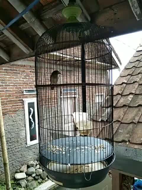 tinggal yang kecil  #fyp  #short  #HOTrctiplus  #RCTIPlus 