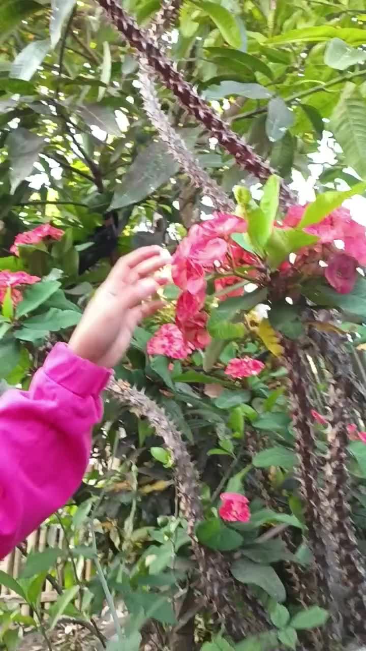 kekeringan mulai melanda