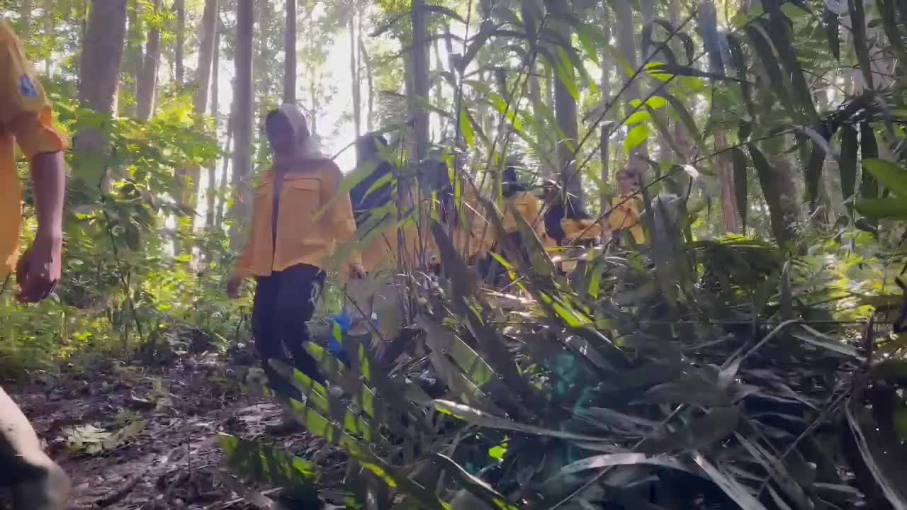 POV jalan di hutannn