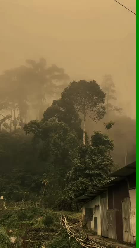  #RCTIPlus  #HOTrctiplus  #video #fypシ 
 #virall #fypシ゚viral  #fyp #RCTIoke  #hotrcti 