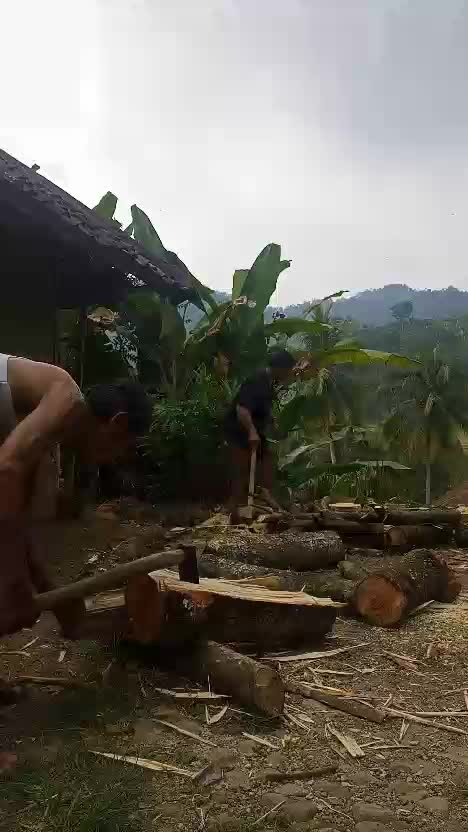 beginilah gmbaran saat membelah kayu yang akan dijadikan bahan bakar untuk memasak 