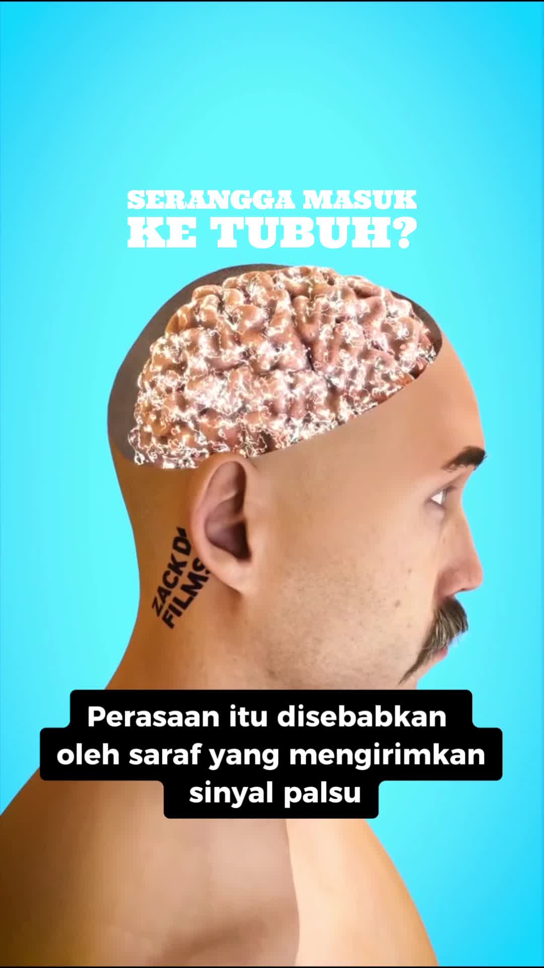 Formikasi, sensasi ilusi serangga masuk merayap dibawah kulit