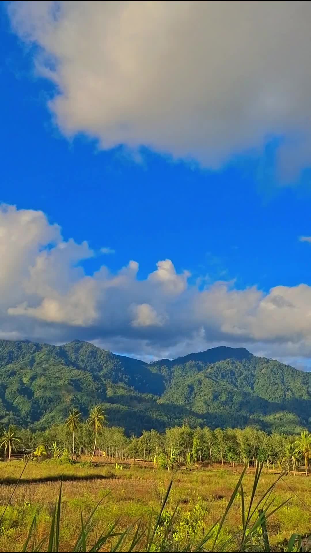 sore pemandangan indah