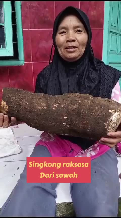dapat singkong raksasa dari sawah
 #short  #viral 