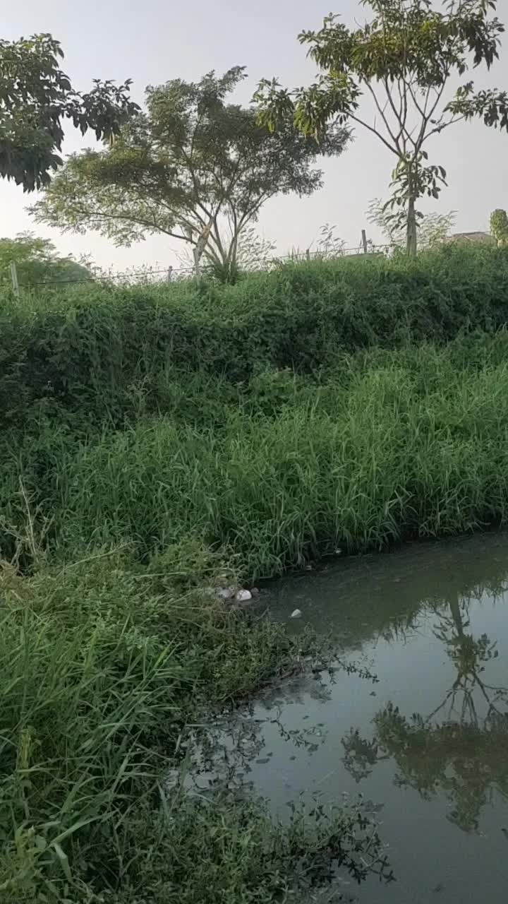 #cobadehperhatiinadayanganehengakya