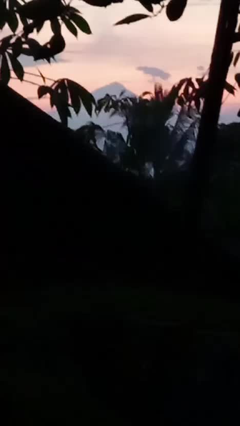 suasana pagi hari. gunung Slamet#gunungslamet 