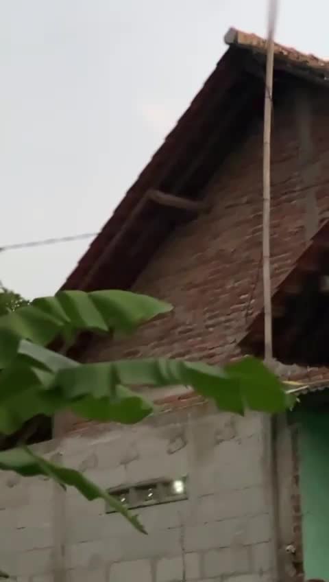 Suasana Dikampung saat menjelang Maghrib 

 #suasana  #fyp  #RCTIplus #viral 