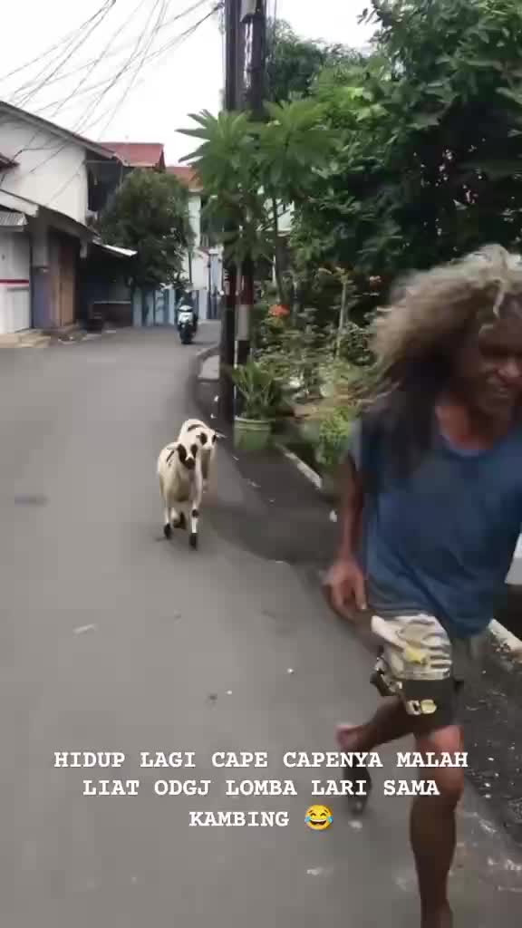 vvv