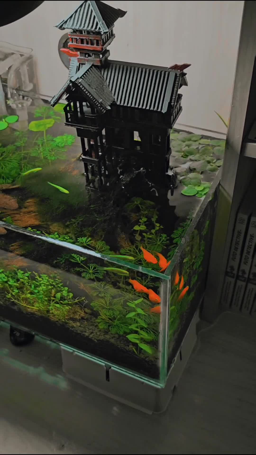 aquascape
 #fyp #fypシ #aquascape #aquascapeindonesia