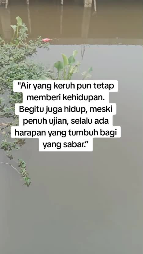 motivasi hidup  #motivasi  #quotes  #virall 