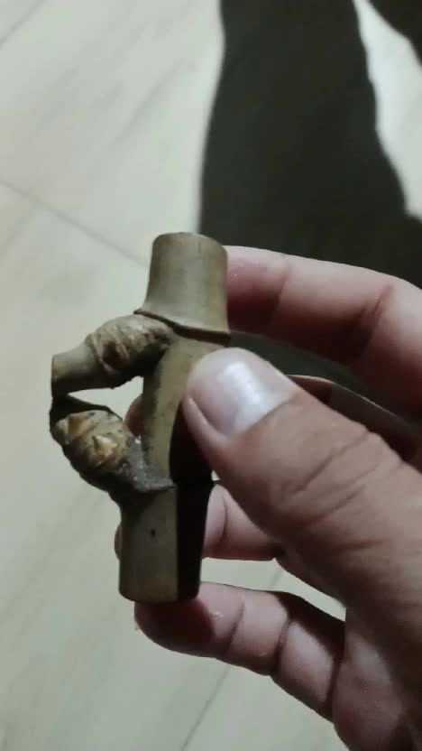 bambu petuk  #bambupetuk 