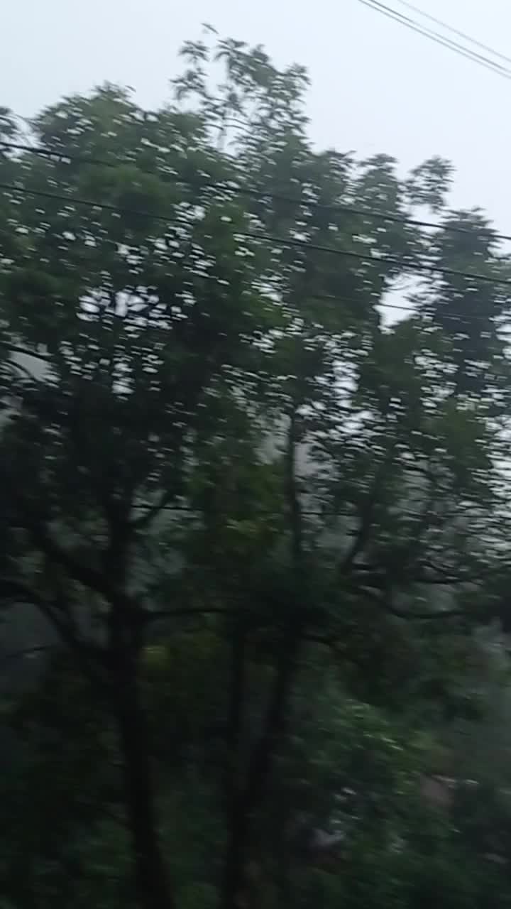 Suasana desa berkabut di siang bolong