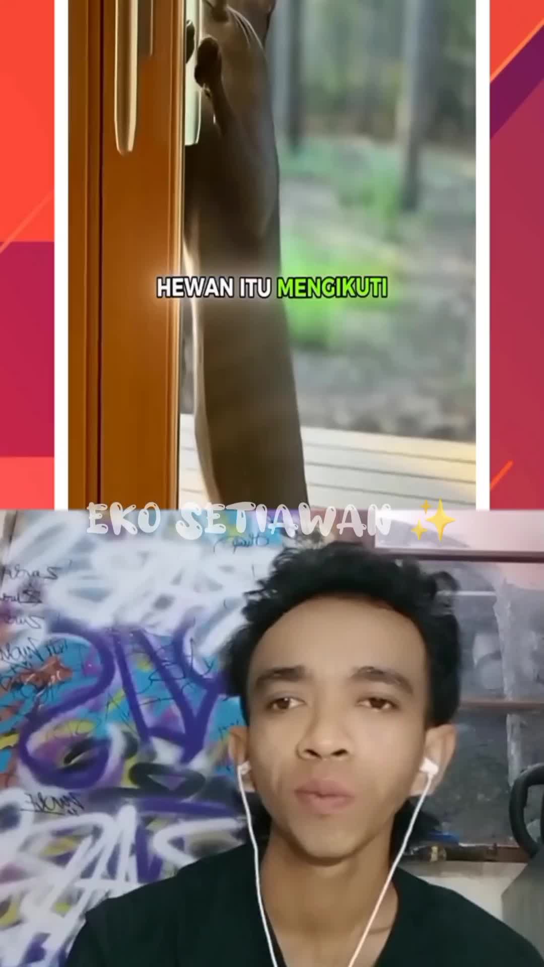 awalnya dia mengira itu kucing liar biasa ternyata itu adalah spesies kucing langka😍 #reactiont #duett #virall #fyp #trending #humor #clippe