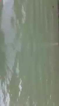 Tempat Wisata Grand canyon 3 Pekanbaru Riau #RianFebriyan #Shorts #tempatwisata #shorts #CapCut #fyp #flks #flf #trending #viral #ViralDiSho