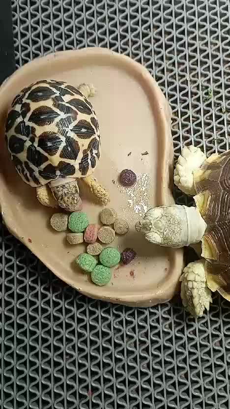 makan bersama