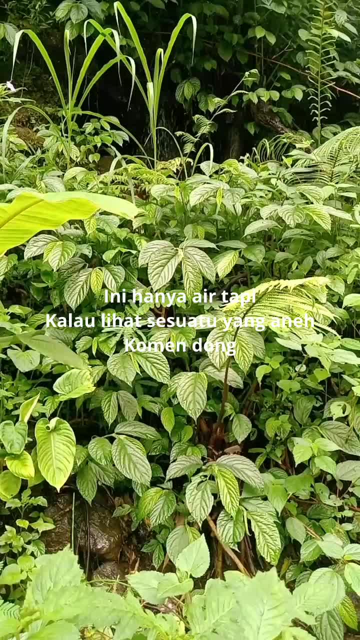 PEMANDANGAN ALIRAN AIR YANG BAGUS BUAT PECINTA ALAM. BTW LIHAT SESUATU GAK  #fyp  #view  #Viral  #pemandangan yg indah 