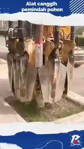 alat canggih pemindah pohon 
#shorts
#short 
#viral_video
#shortplus 
#RCTIPlus
#RCTIoke
#HOTrctiplus
#fypシ゚viral
#1TRENDING
#talentshow 
#V