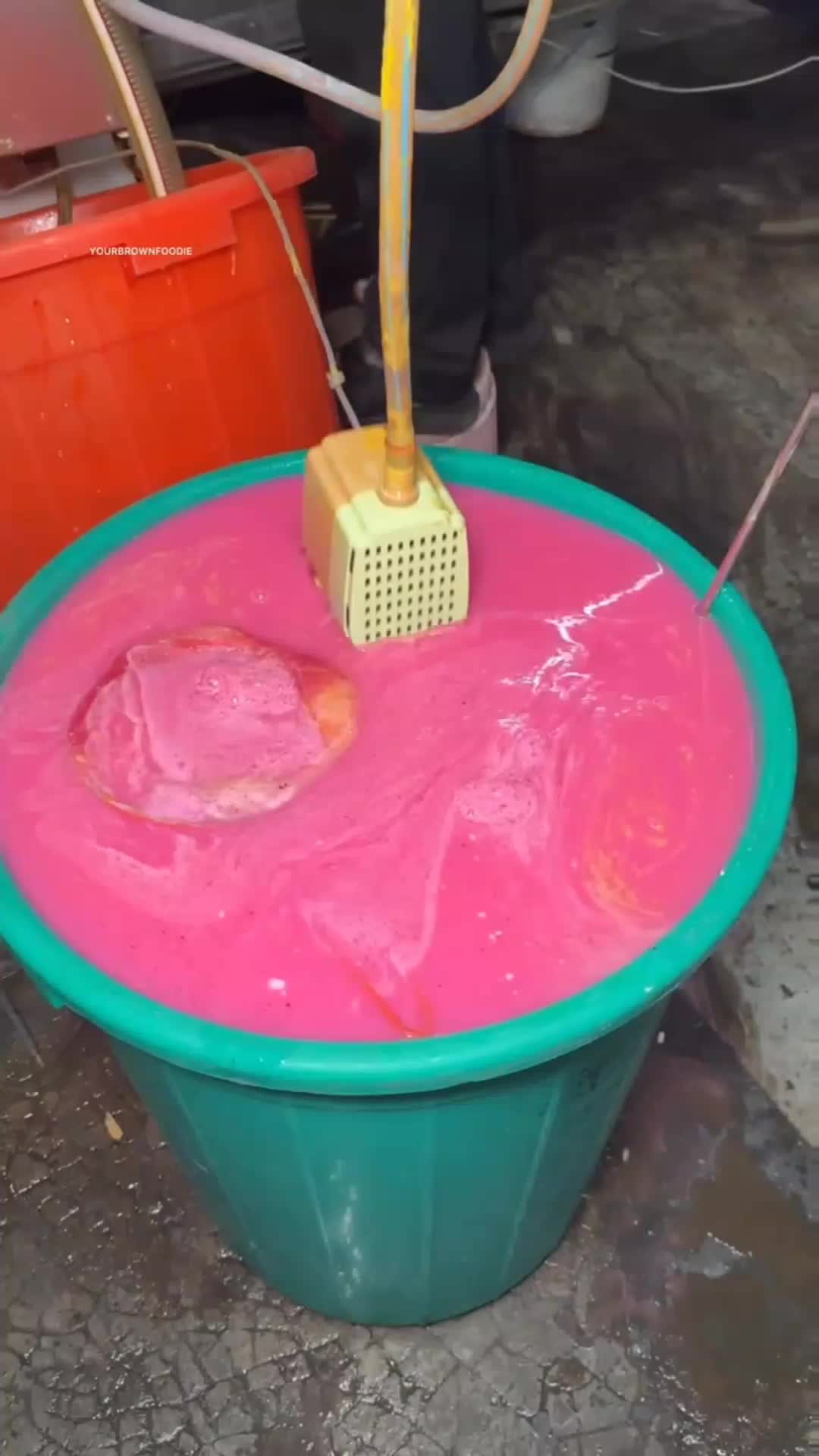 Dari Cair Jadi Es Krim dalam Hitungan Menit!