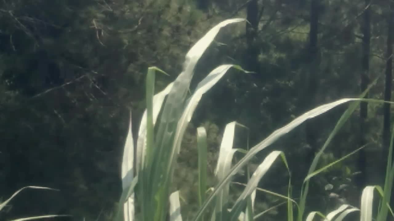 piknik berkedok olahraga #polygonbike  #mtb  #sepedagunung  #rgcs 