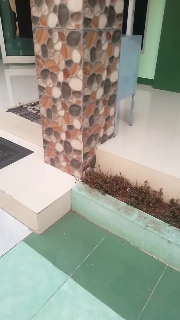 Assalamualaikum guys.
ditempat ku lagi ada acara Ruwahan menjelang bulan suci ramadhan🥰.
kalau ditempat kalian ada ga guys🫰
#MasyaAllah taba