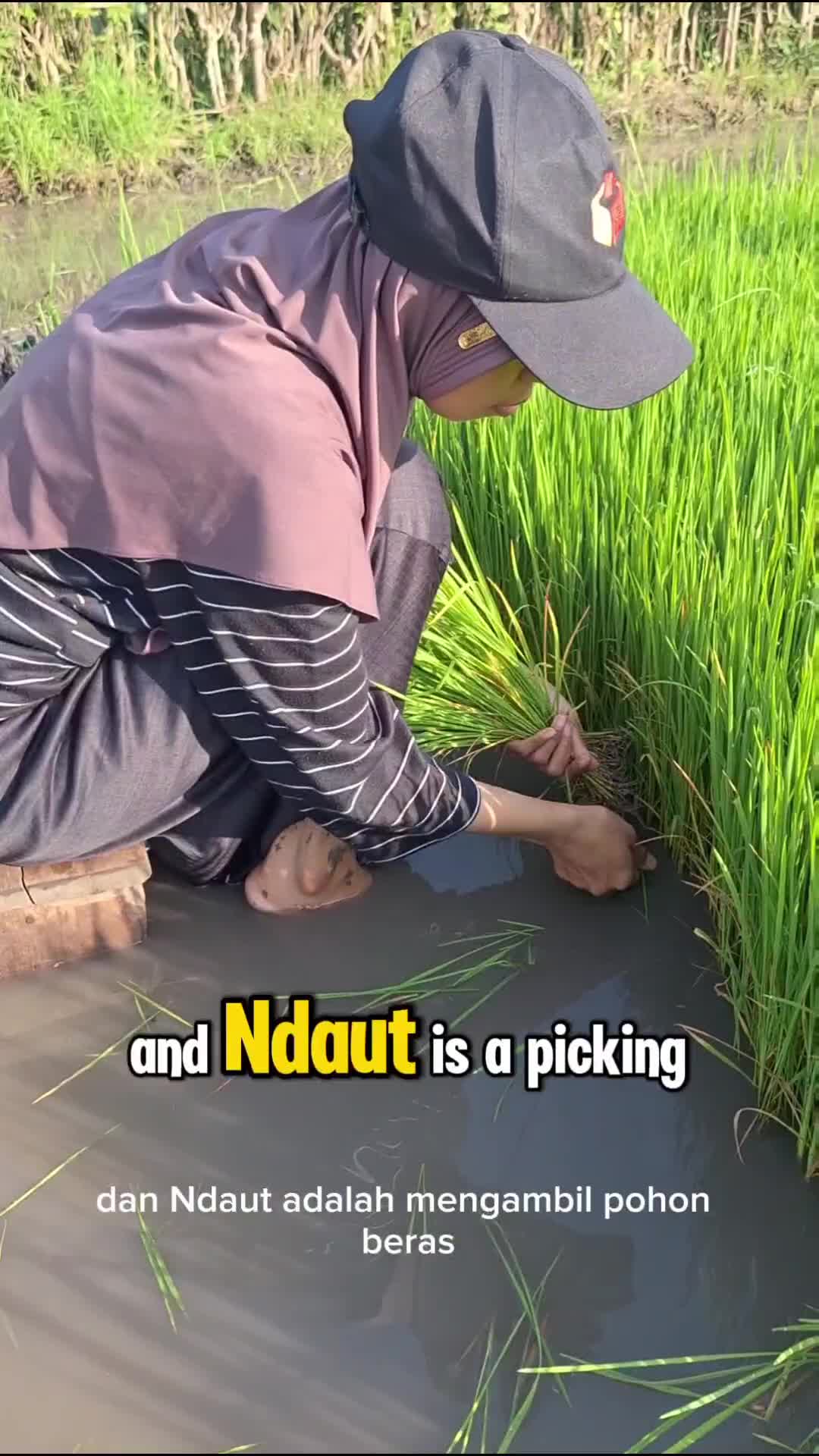 definisi tamping mopok ndaut tandoor