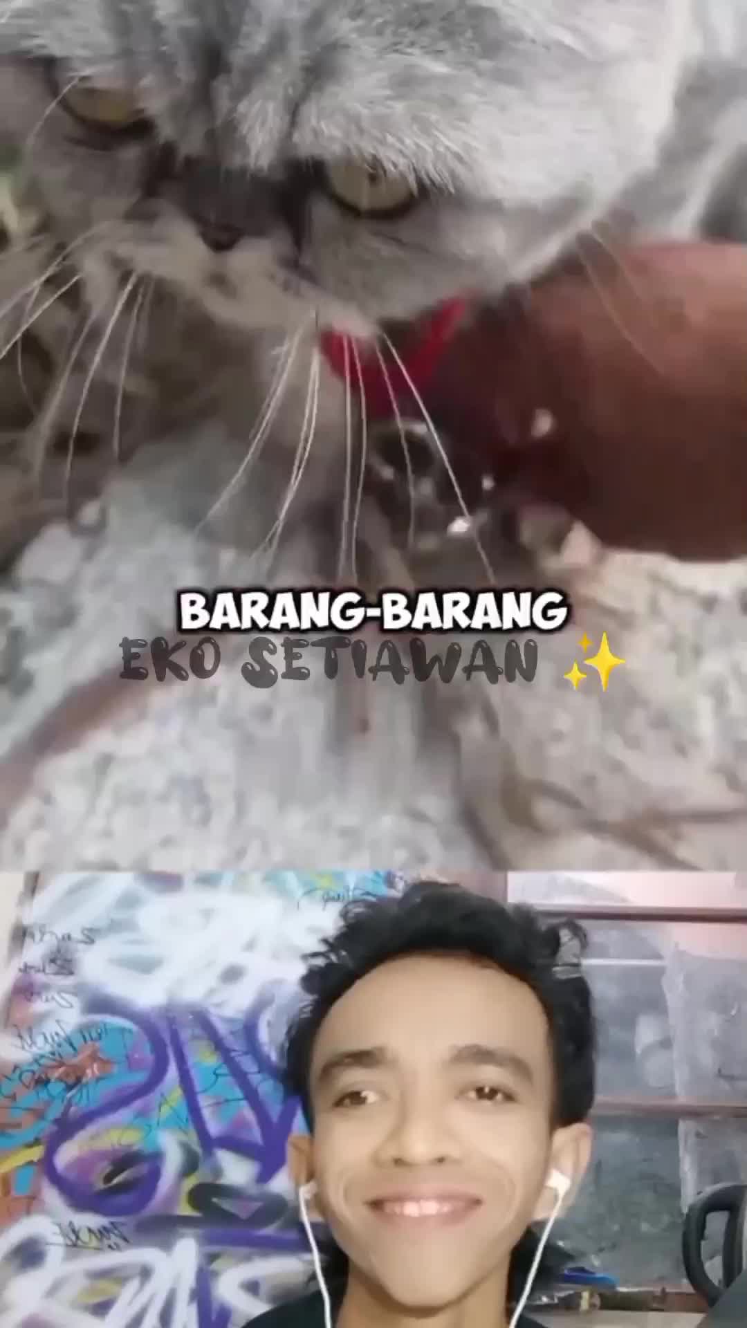 kucing ini menemukan sang kekasih dengan kalung magnet nya?✨