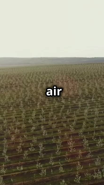 Paranet pelindung kebunmu  #kebunshaka  #Berkebun  #paranet 