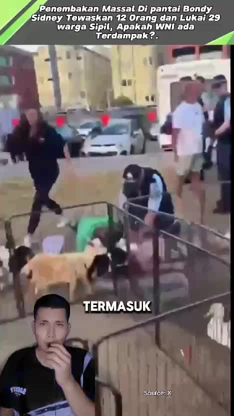 Tragedi di Pantai Bondi Sidney Australia. #videoviral  #faktaviral 