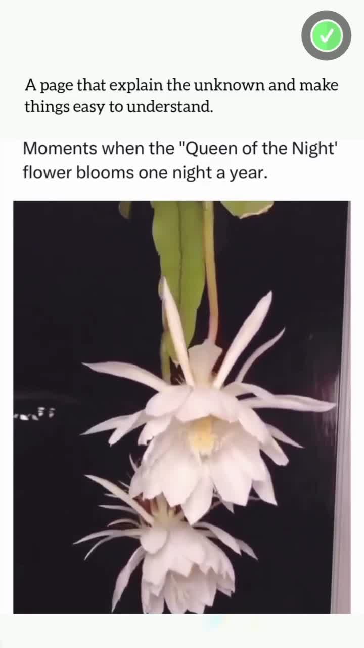 This Will Blow Your Mind! Part 99 🔥 #crativeprocess #innovation #trendingnow #inspiration