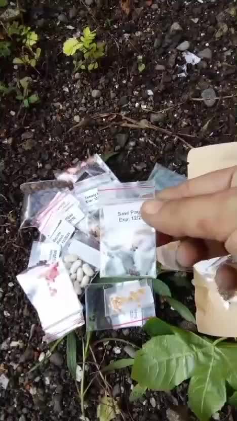 Paket benih seribuan, satu paket isinya lengkqp banget #benih #benihseribuan #berkebundihalaman  #kebunshaka