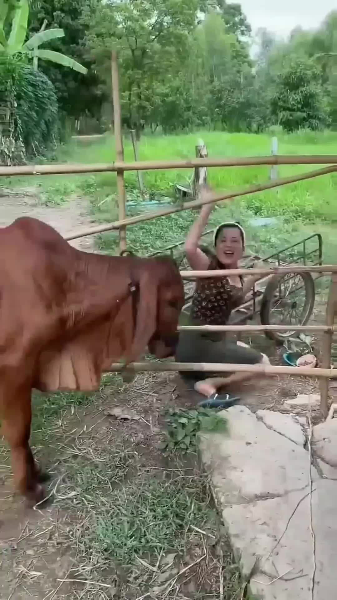 video lucu #videolucu  #lucu 