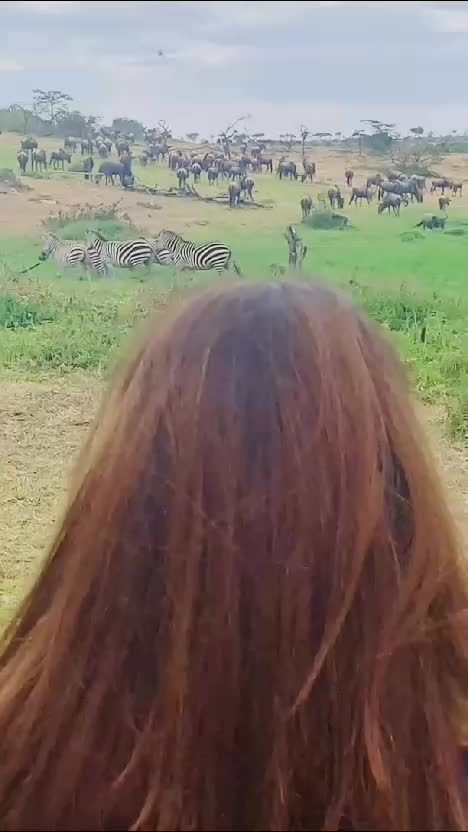  #RCTIPlus  #HOTrctiplus  #videokreatif 
 #virall 