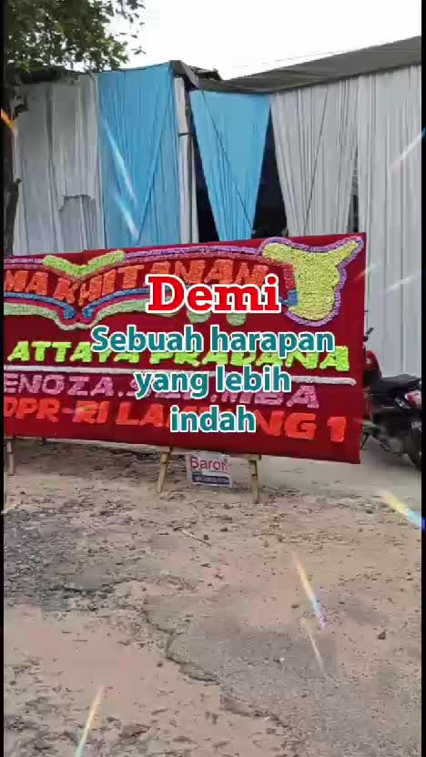 sewa bunga papan Lampung 
081368785704
#fyp 