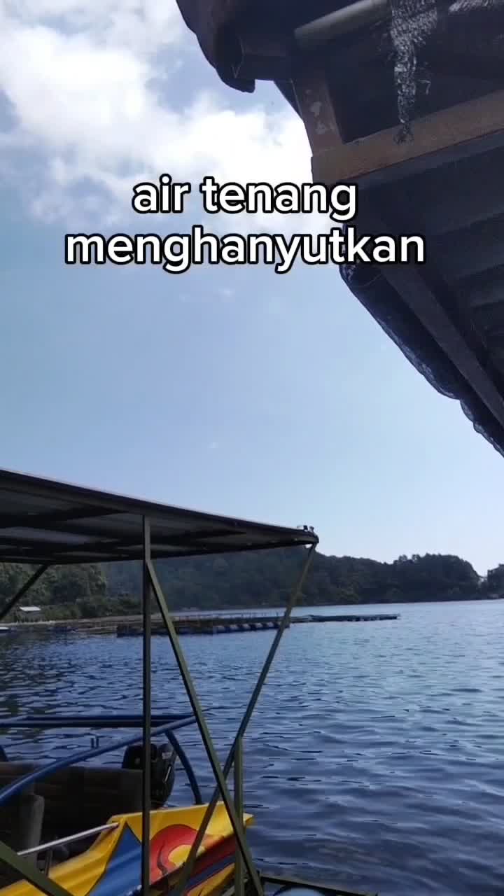 tenang tapi menghanyutkan #onlineauditionmci8menuhakauyunnantelangflowersdarinegeritiongkok #onlineauditionmci8menuhakauyunnantelangflowersd