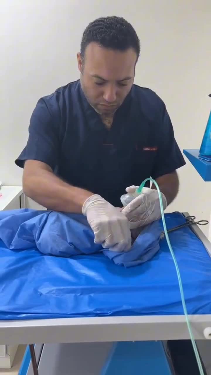 menyelamatkan bayi baru lahir 