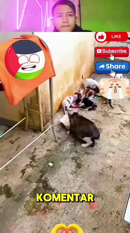 lihat  #RCTIPlus  #rcti  #RCTIoke  #Viral  #trending