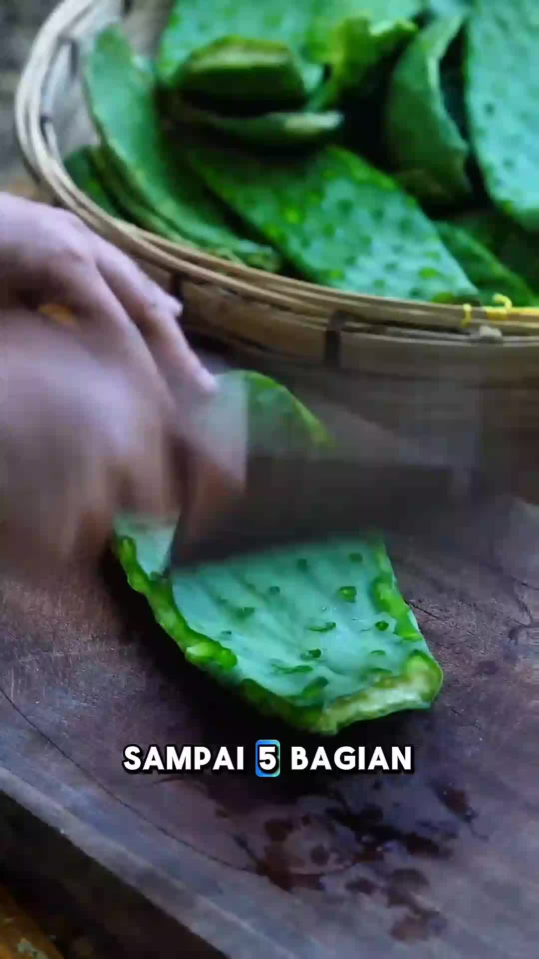 cara mengolah kaktus
#fypシ゚viral  #RCTIPlus 