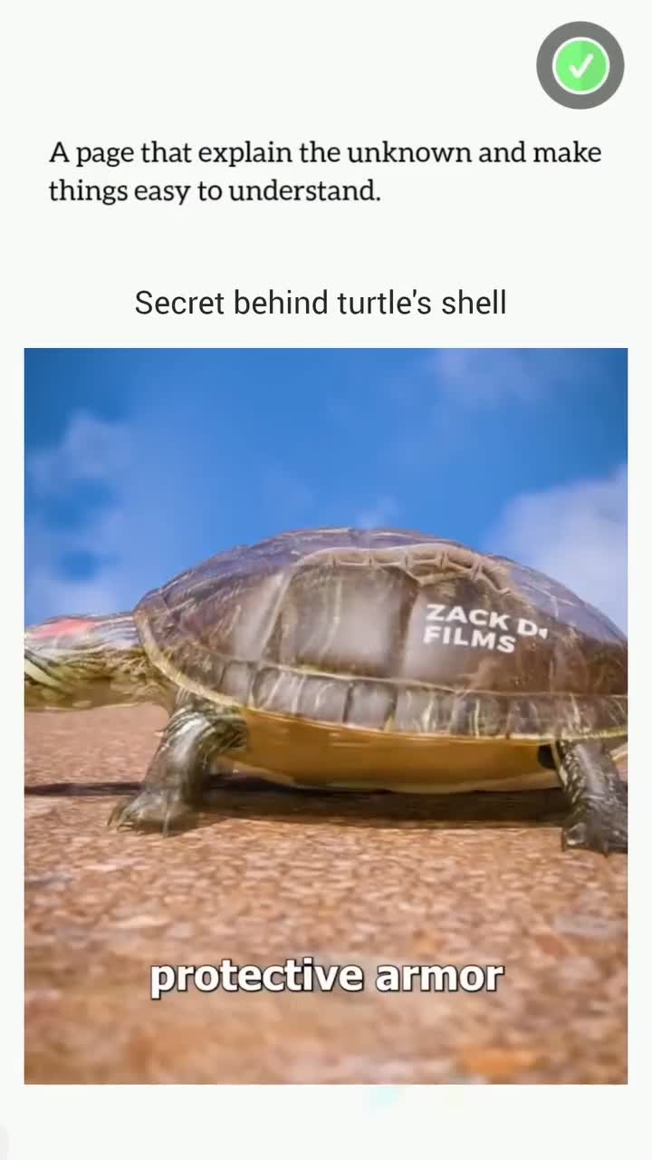 This Will Blow Your Mind! Part 80 🔥 #crativeprocess #innovation #trendingnow #inspiration